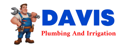 Trusted plumber in PUT IN BAY